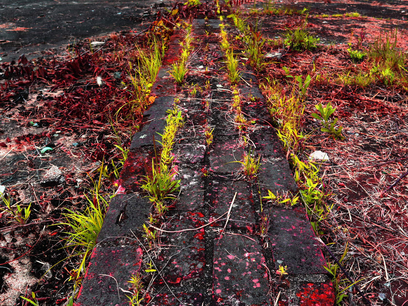 Brick Path