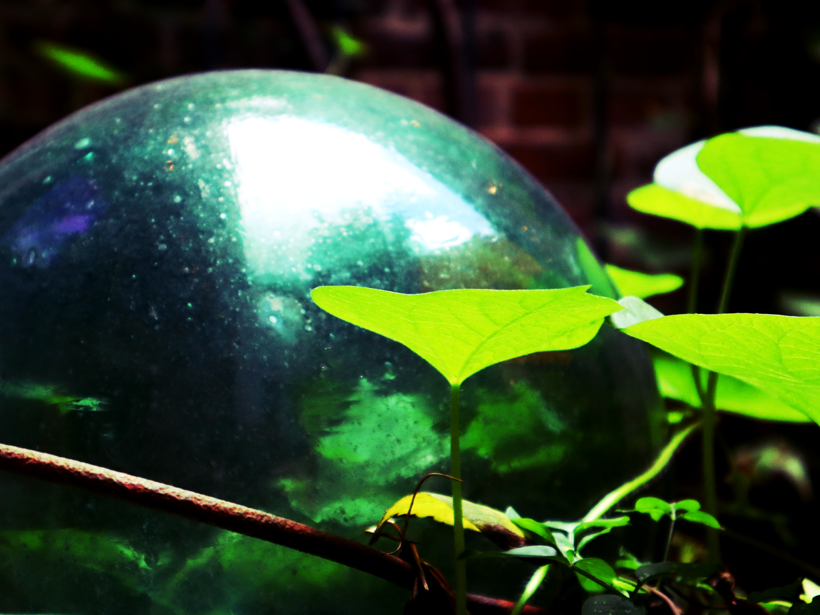 A Glass Bauble