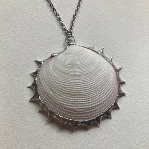 Spiked Shell