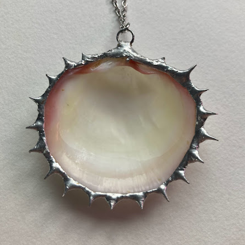 Spiked Shell Inside